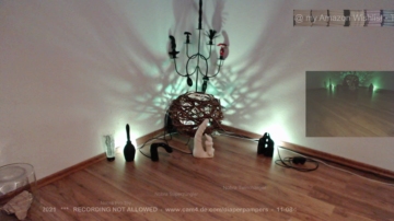 diaperpampers  07-11-2021 Recorded Video Download